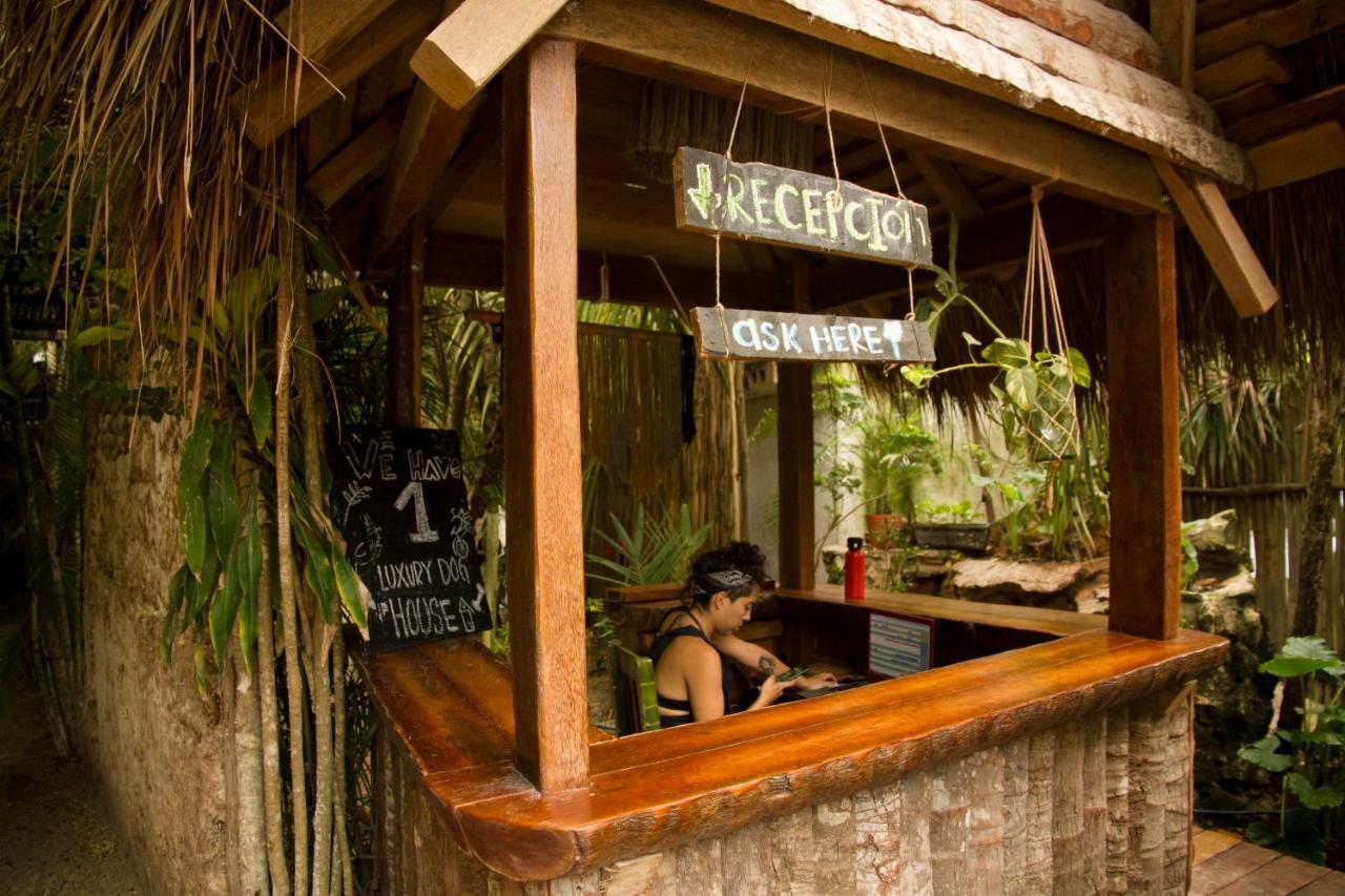 Cabanas La Eufemia Tulum Extérieur photo